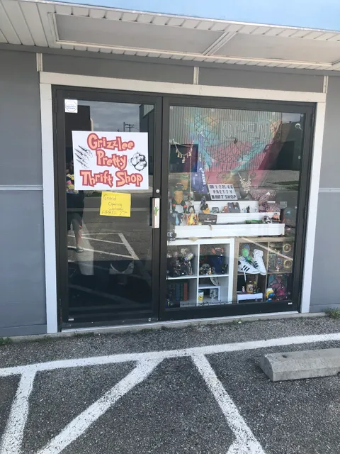 Grizzlee Pretty thrift shop & collectibles & Toy’s