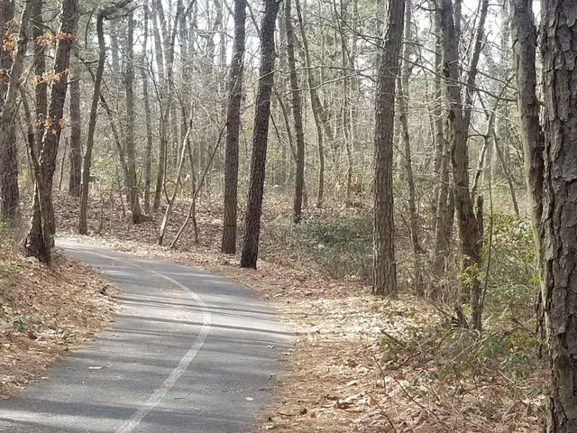 Blueberry Hill Trail