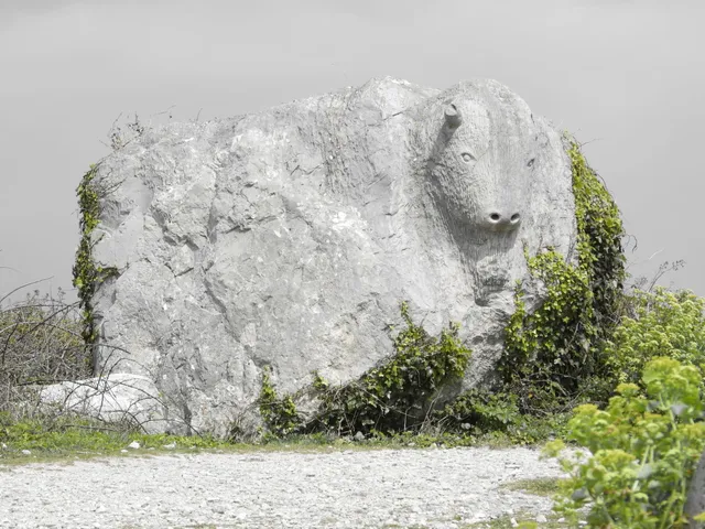 The Circle Of Stones