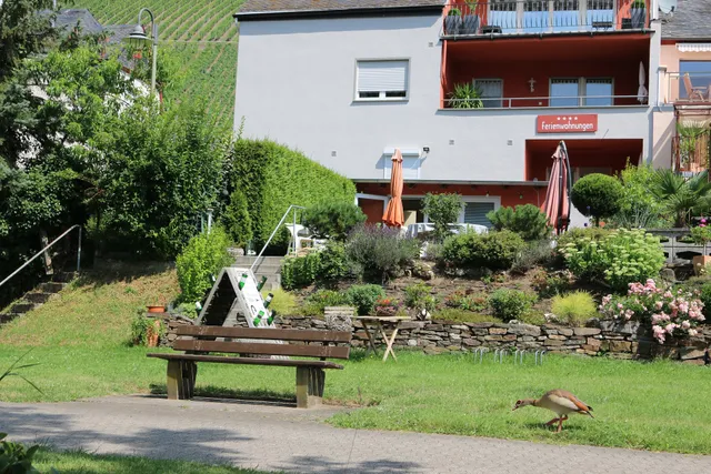 Weingut-Gästehaus-Haas