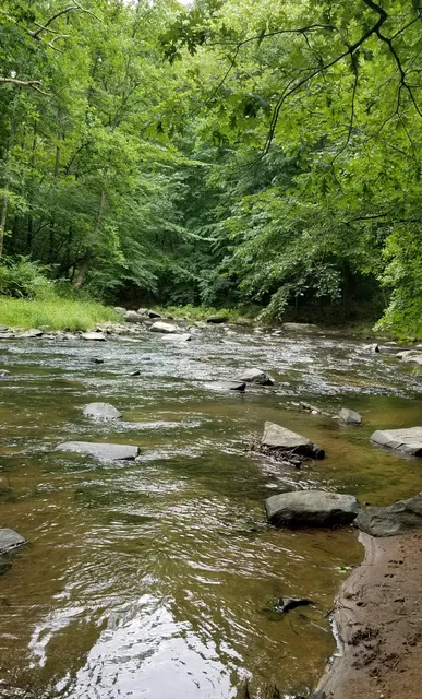 Little Gunpowder Falls State Park Trailhead