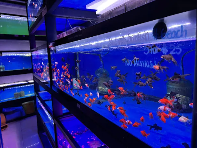 Monster Aquarium Inc - Shop in Queens New York