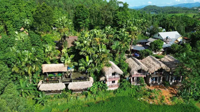 Vu Linh Palm House Homestay - Bungalow