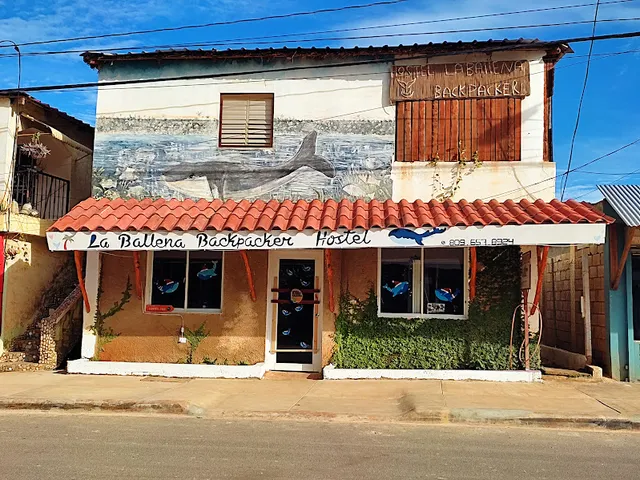 Hostel La Ballena backpacker