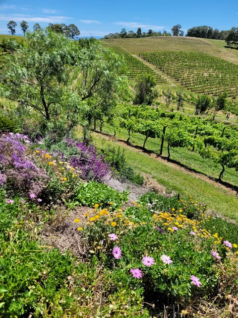 Mistress Block Vineyard