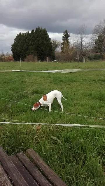 Camping Etoile du Drot
