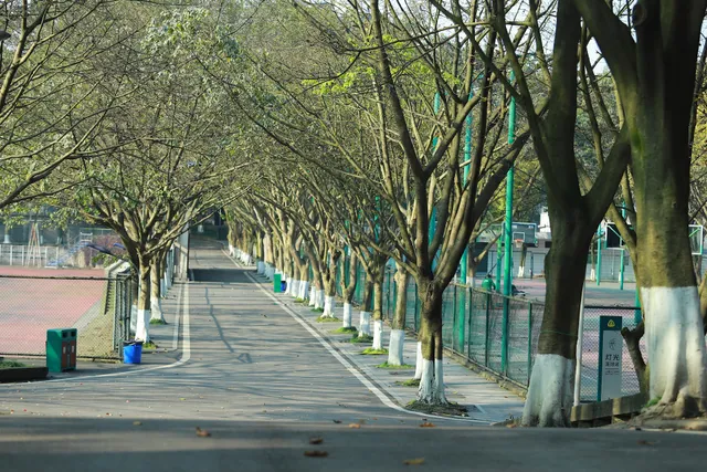 Chongqing University of Posts and Telecommunications
