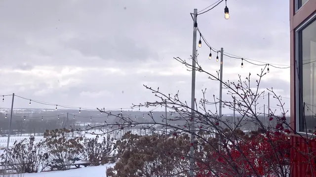 Bent Ladder Cider and Wine