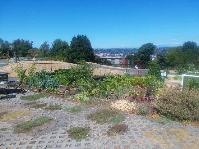 Magnolia Manor Park P-Patch