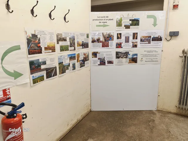 Hebinger pépinières viticoles