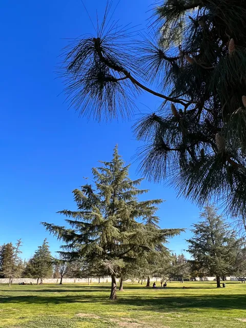 Woodley Park Section 1