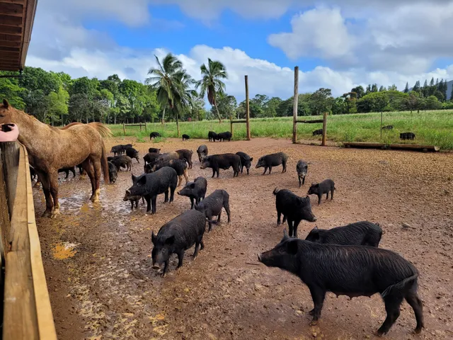 Kauai Plantation Railway