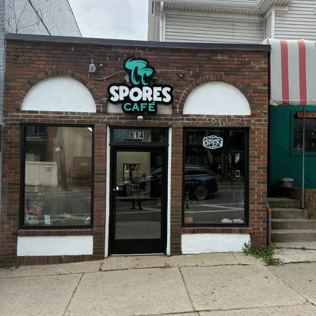 Spores Cafe - Magic Mushrooms & Shrooms Dispensary