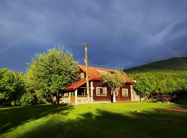 Grandfather house Vistisoara