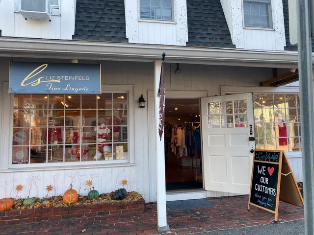 Liz Steinfeld Lingerie