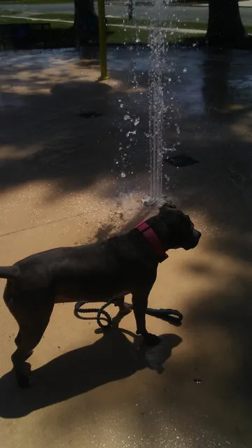 Wellsville City Offices