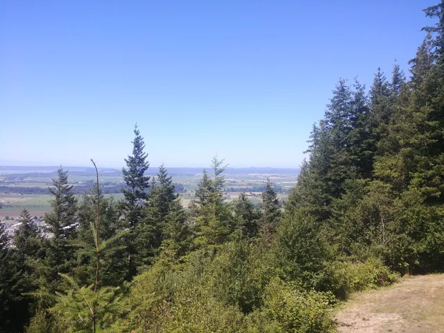 Little Mountain Overlook