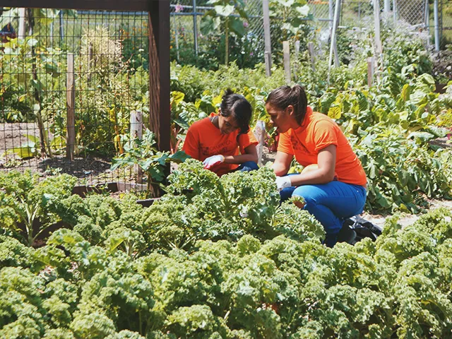 Saratoga Urban Agro-Ecological Center
