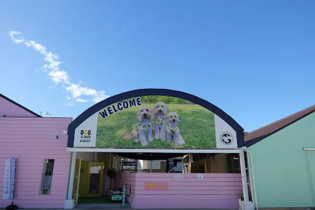 BUDDY G-Doodle/osaka