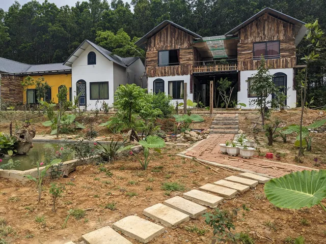 Stella Đồng Lâm Homestay