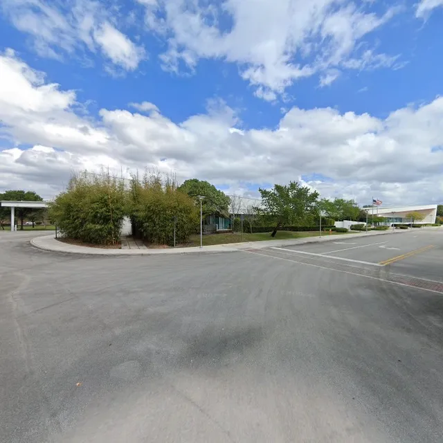 Young at Art Volunteers