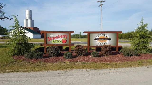 The Strawberry Patch at Fisher Farms