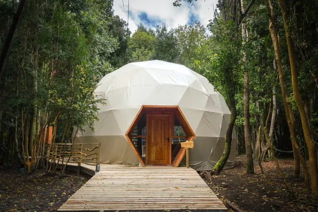 Cabañas Ensenada Bosque Nativo