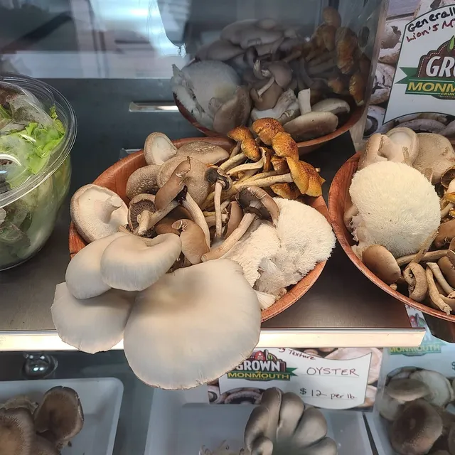 Smiling Earth Mushrooms