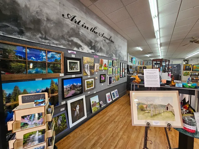 Macon County Art Association