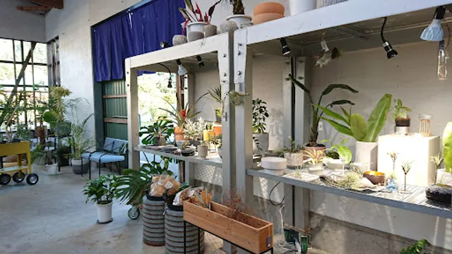 八丈島ボタニカル＆カフェ DRACO