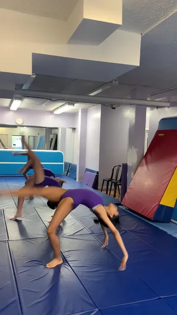 Sofia's Fitness & Dance Studio