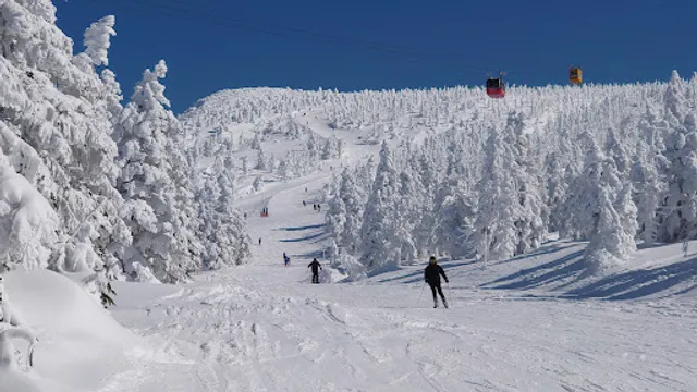 Zao's frost-covered trees (Yamagata Prefecture)