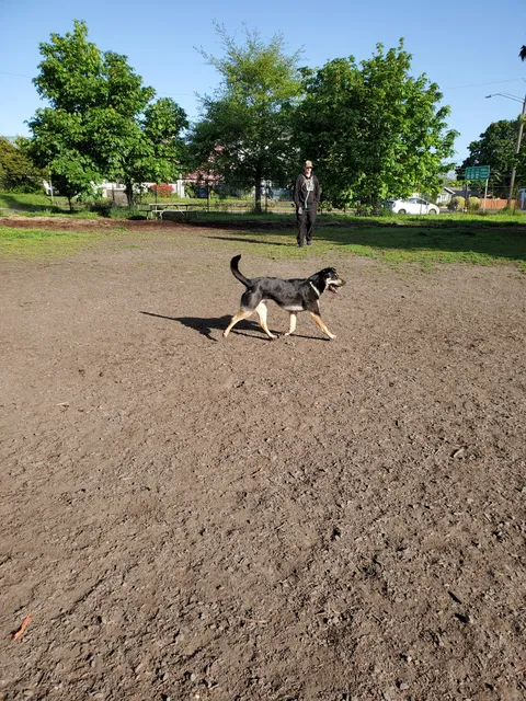 Corvallis Dog Park