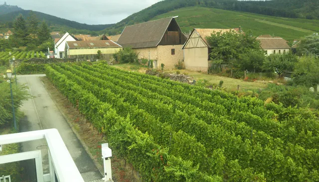 Au Coeur Du Vignoble