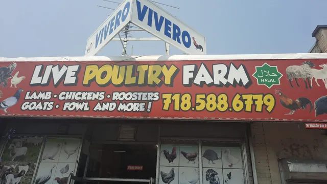 Vivero Live Poultry Farm