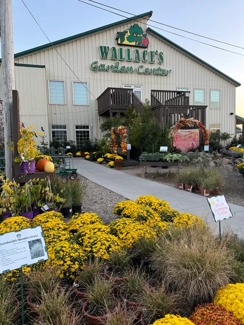 Wallace's Garden Center