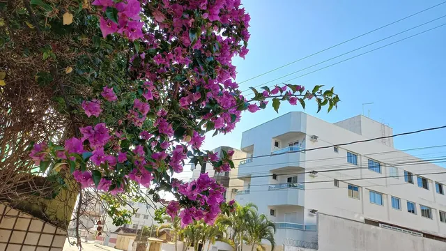 Apartamento para Temporada com Wi-Fi a 370m da Praia do Morro, próximo à Av. Paris e ao Marlim Azul