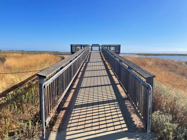 Bair Island Observation Deck