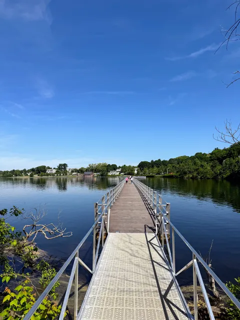 Lake Williams Boardwalk