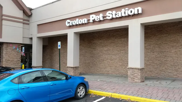 Croton Pet Station
