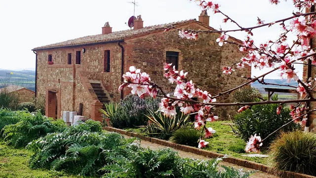 Casetta Tre Poderi appartamento Cactus e Papaveri
