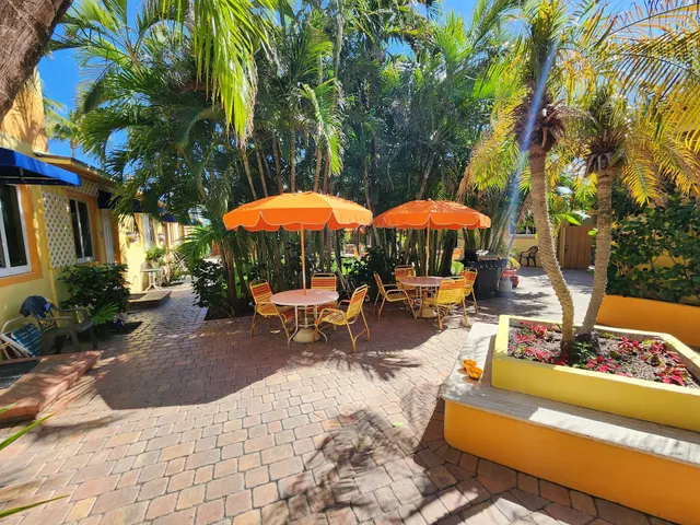 Bougainvillea On the Beach