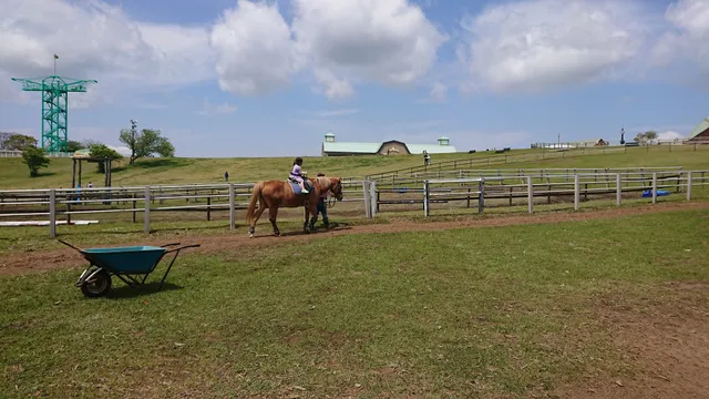 マザー牧場 乗馬