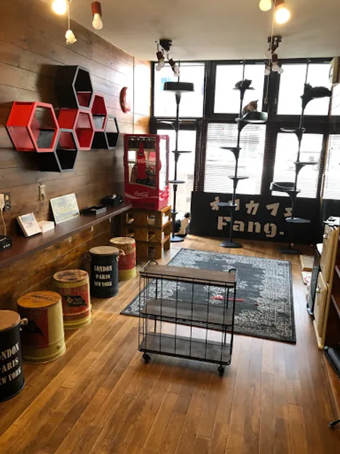 Fang for Stray Catz.-ネコカフェ ファング.