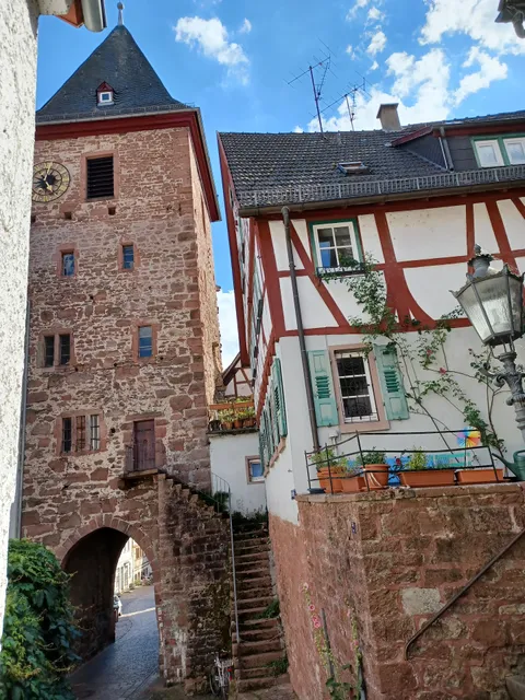 Neckarblick,Natur, Altstadt