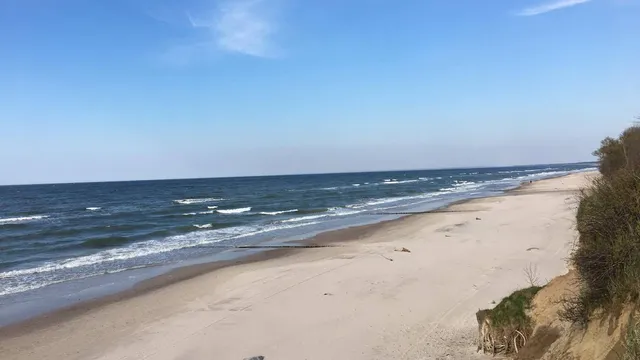 NADMORSKA WYDMA GĄSKI