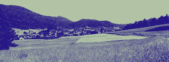 Distillerie l'Entropie