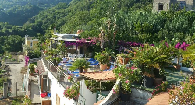 Albergo Casa Michelangela Ischia