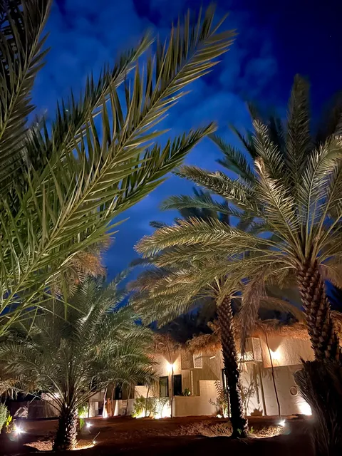 Under Las palmas ALula