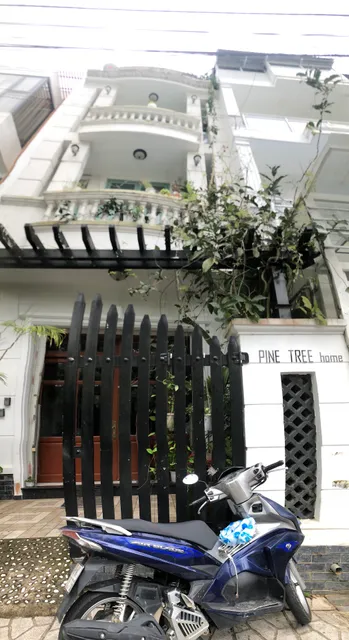 Pine Tree Dalat Studio Apartment